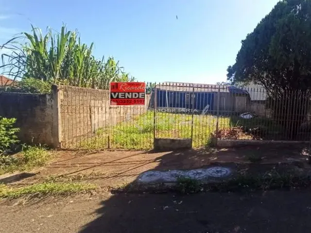 Imagem 1: Arapongas - Casa Padrão - Jardim Mônaco