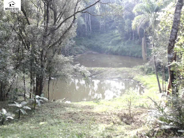 Imagem 7: CHACARA RURAL em Mandirituba - PR, Espigão das Antas