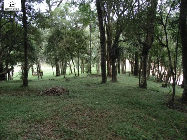 Imagem 9: CHACARA RURAL em Mandirituba - PR, Espigão das Antas