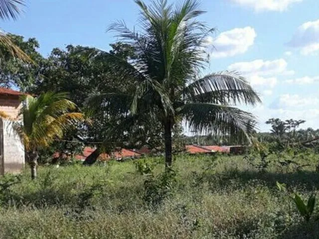 Imagem 2: Casa no Farol do Araçagi, Estilo Sitio