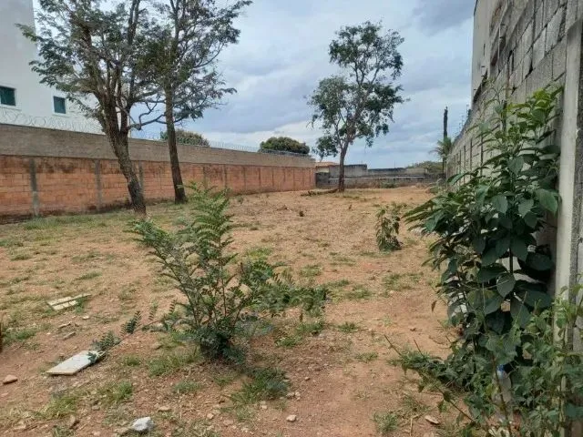 Imagem: Excelente Lote Bairro Trevo, Pampulha