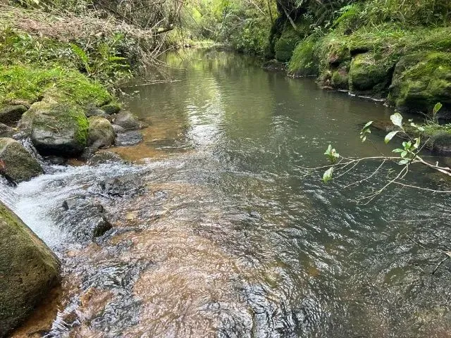 Imagem 1: Sítio de Cinema! com Lindo Rio, Pasto e Pronto para Construir!
