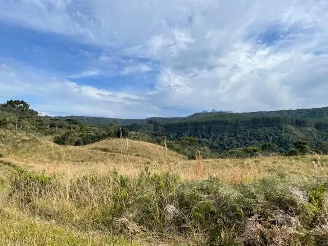 Imagem 12: Sítio de Cinema! com Lindo Rio, Pasto e Pronto para Construir!