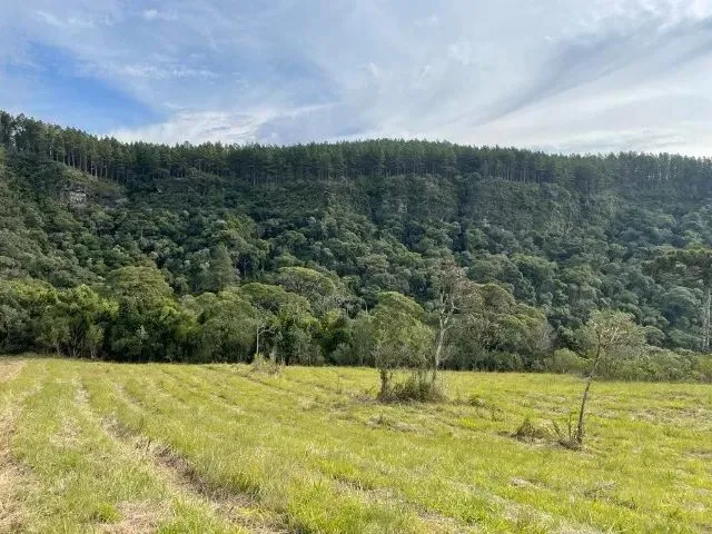 Imagem 5: Sítio de Cinema! com Lindo Rio, Pasto e Pronto para Construir!