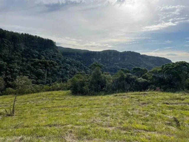 Imagem 13: Sítio de Cinema! com Lindo Rio, Pasto e Pronto para Construir!