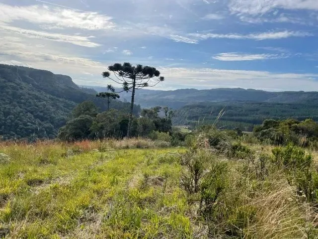 Imagem 10: Sítio de Cinema! com Lindo Rio, Pasto e Pronto para Construir!