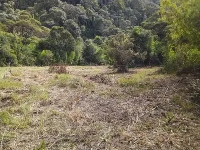 Imagem 4: Sítio de Cinema! com Lindo Rio, Pasto e Pronto para Construir!