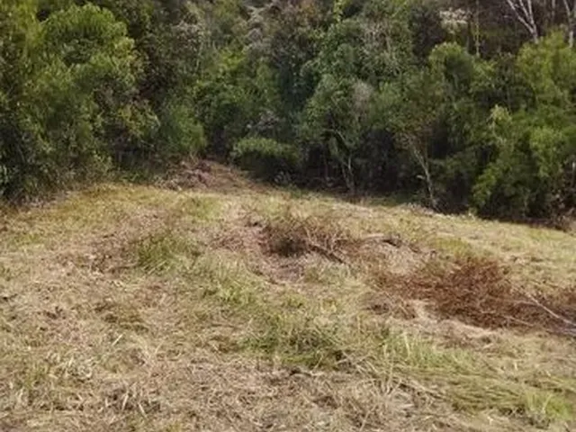 Imagem 11: Sítio de Cinema! com Lindo Rio, Pasto e Pronto para Construir!