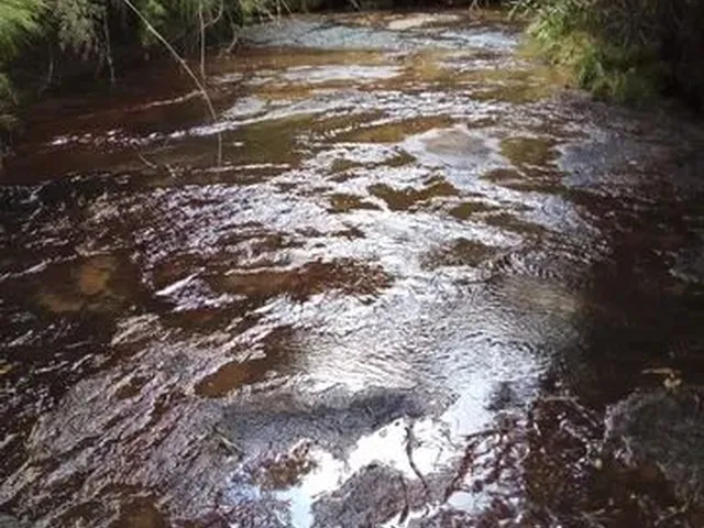 Imagem 9: Sítio de Cinema! com Lindo Rio, Pasto e Pronto para Construir!