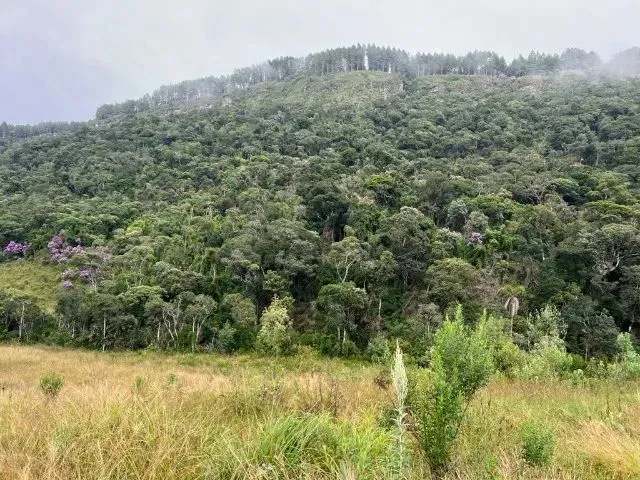 Imagem 8: Sítio de Cinema! com Lindo Rio, Pasto e Pronto para Construir!