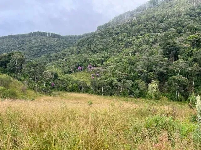 Imagem 14: Sítio de Cinema! com Lindo Rio, Pasto e Pronto para Construir!