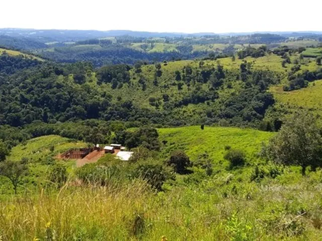 Imagem 6: Vendo Sítio Ortigueira 10 Alqueires