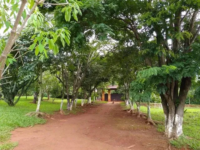 Imagem 1: Oportunidade - Lindo Sítio em Mateus Leme