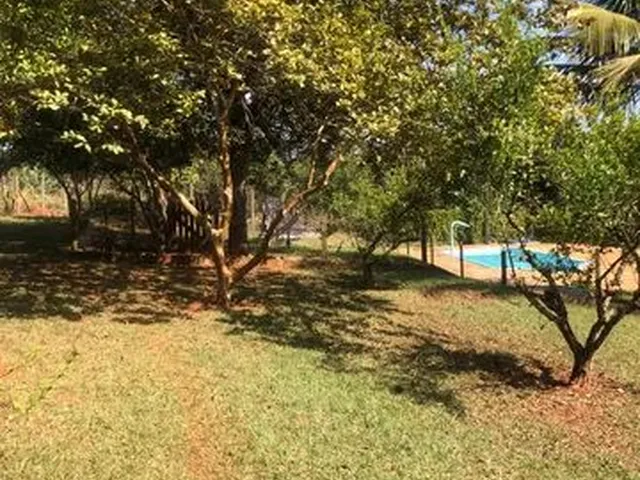 Imagem 9: Oportunidade - Lindo Sítio em Mateus Leme