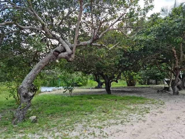 Imagem: Sítio com Casa em Macaiba-Rn