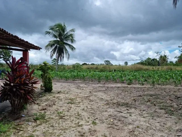 Imagem 8: Sítio com Casa em Macaiba-Rn