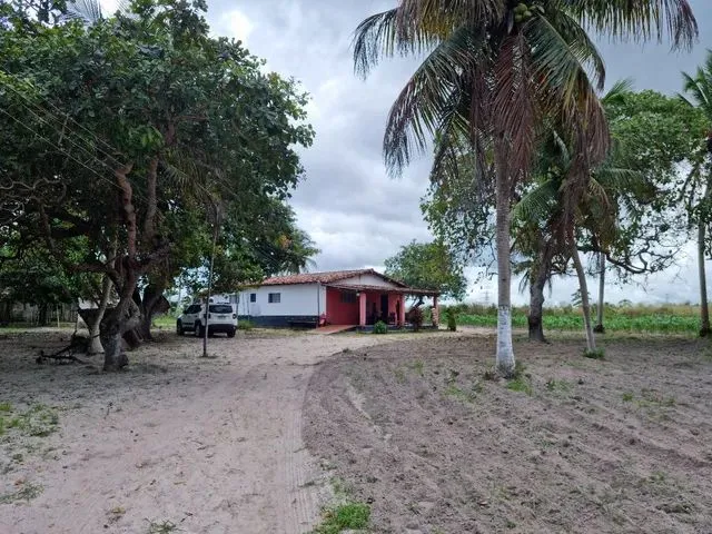 Imagem 5: Sítio com Casa em Macaiba-Rn