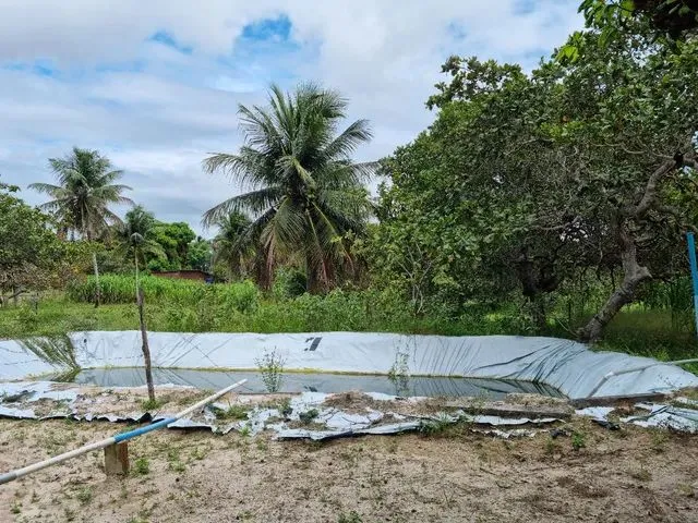 Imagem 7: Sítio com Casa em Macaiba-Rn