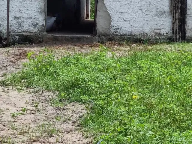 Imagem 3: Sítio com Casa em Macaiba-Rn