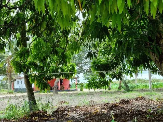 Imagem 2: Sítio com Casa em Macaiba-Rn