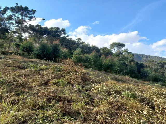 Imagem: Lindo Terreno com Vista Deslumbrante, Nascente