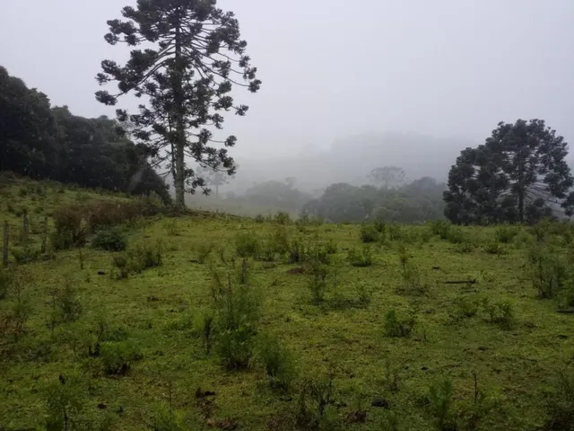 Imagem: Oportunidade Lindo Terreno com Nascente