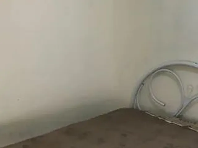 Imagem 11: Apartamento Kitnet