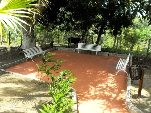 Imagem 5: CHACARA COMERCIAL em CAMAÇARI - BA, VILA DE ABRANTES (ABRANTES