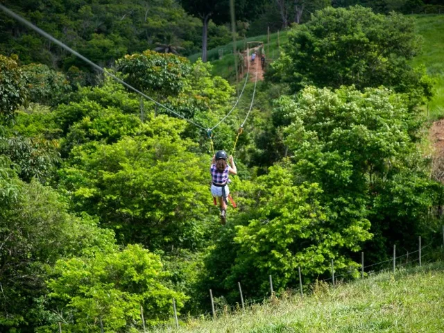 Imagem 6: CHACARA COMERCIAL em CAMAÇARI - BA, VILA DE ABRANTES (ABRANTES