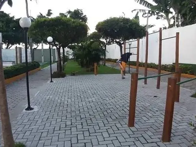 Imagem: Apartamento para Aluguel Possui 55 Metros