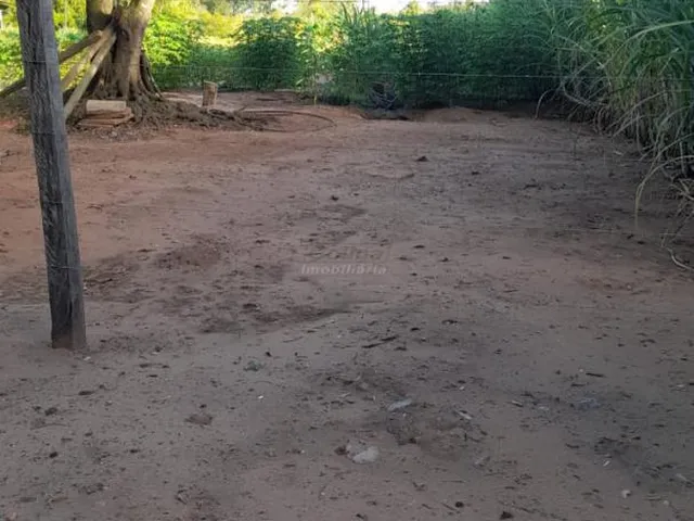 Imagem 6: A Chácara dos Sonhos em Capela de Santana!