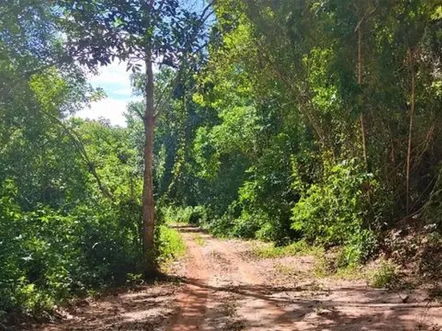 Imagem: Sítio Chácara Maravilhosa e Plana À Beira