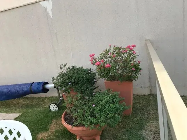 Imagem 10: Apartamento À Venda, Centro, Campo Grande, Ms