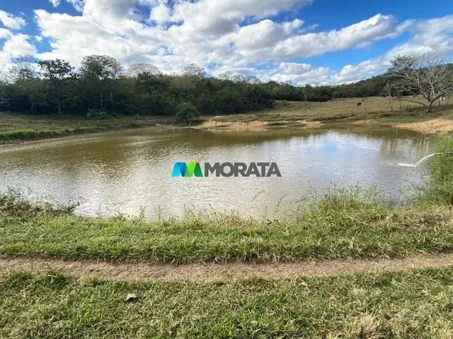 Imagem: Cordisburgo - Fazenda - Zona Rural