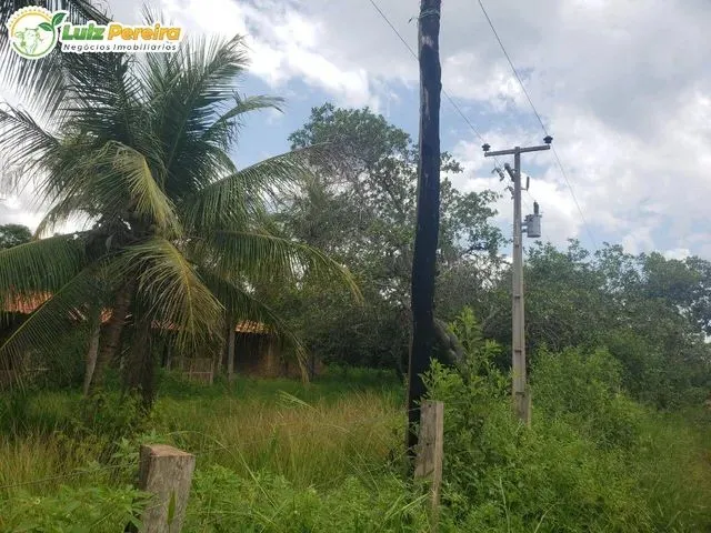 Imagem: Fazenda À Venda em santa Maria das Barreiras-Pa-2.094