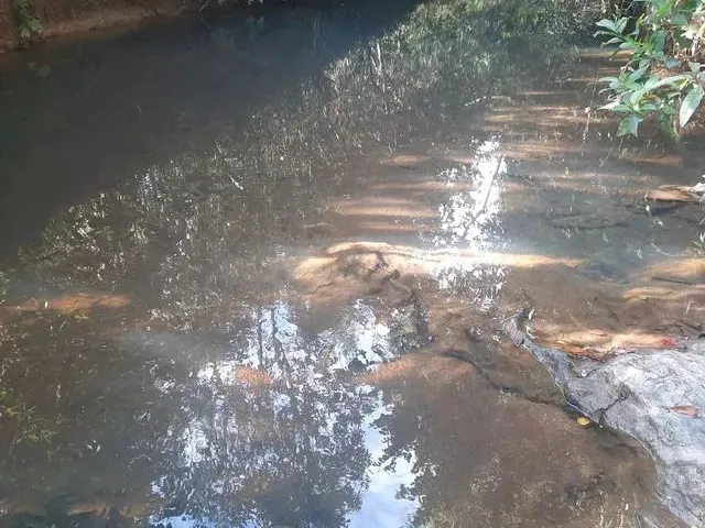 Imagem: Vendo Chácara 10 611 M2