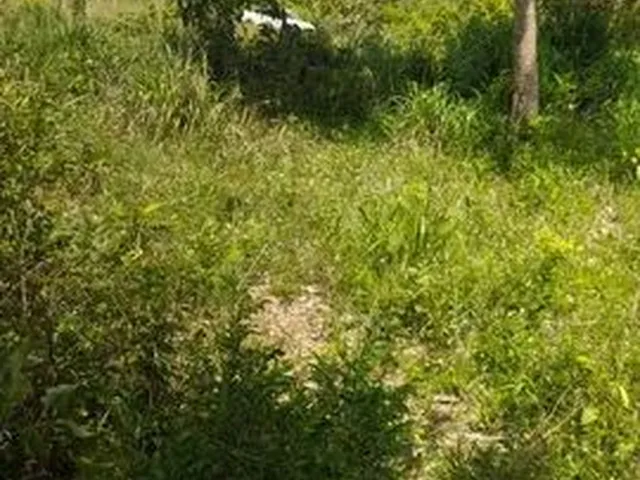 Imagem: Desapega Mini Chácara