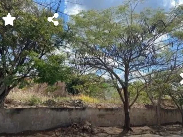 Imagem: Lote 300 M2 Sendo 15 de Frente de 20 de