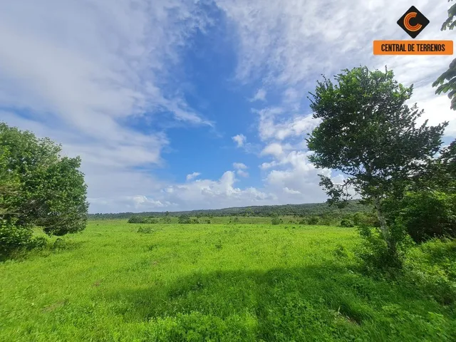Imagem: Terreno em Barra de Pojuca - Linha Verde