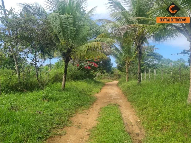 Imagem 10: Terreno em Barra de Pojuca - Linha Verde