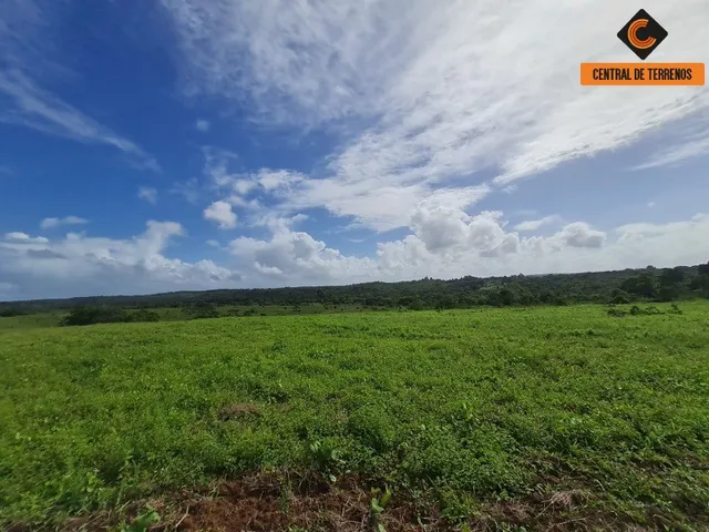 Imagem 8: Terreno em Barra de Pojuca - Linha Verde