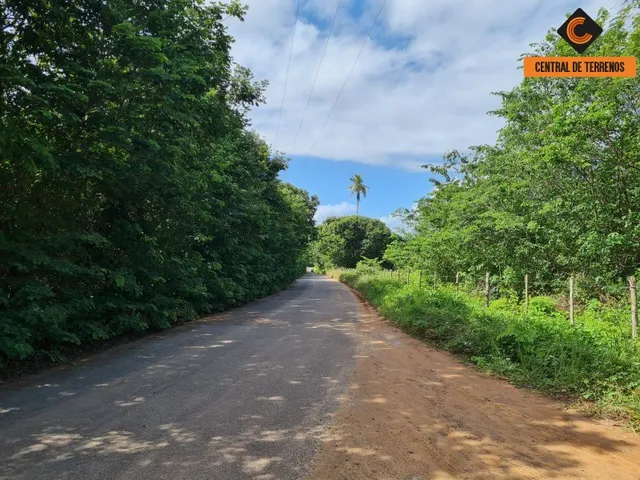 Imagem 11: Terreno em Barra de Pojuca - Linha Verde