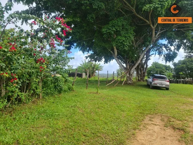 Imagem 7: Terreno em Barra de Pojuca - Linha Verde