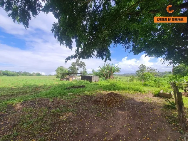 Imagem 6: Terreno em Barra de Pojuca - Linha Verde