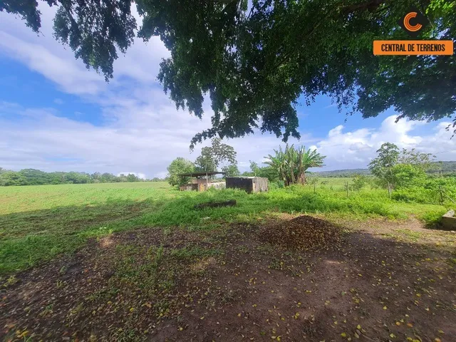 Imagem 9: Terreno em Barra de Pojuca - Linha Verde