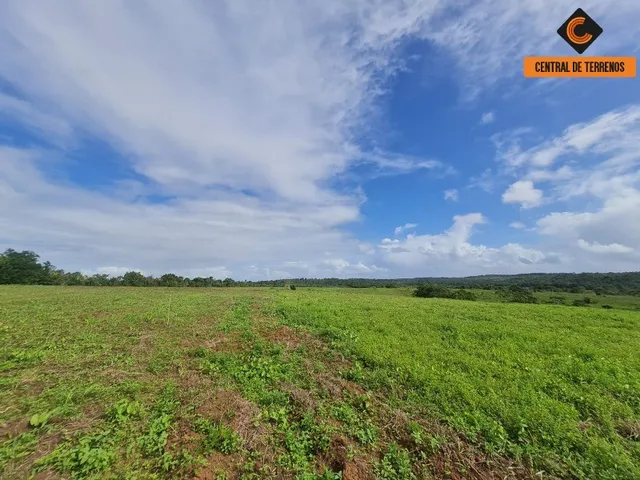 Imagem 3: Terreno em Barra de Pojuca - Linha Verde