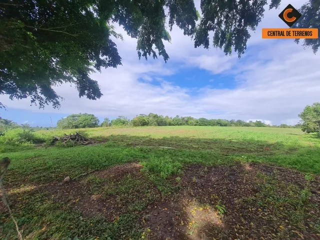Imagem 15: Terreno em Barra de Pojuca - Linha Verde