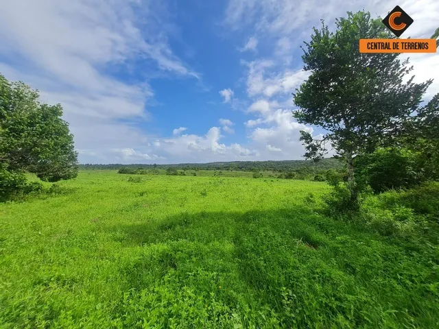 Imagem 12: Terreno em Barra de Pojuca - Linha Verde
