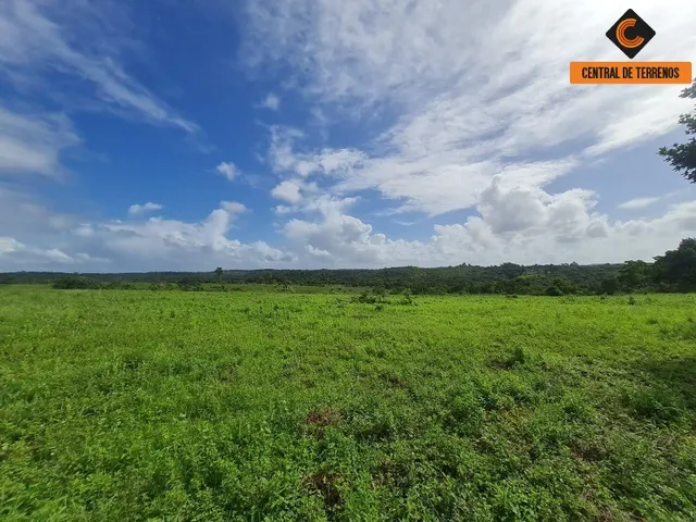 Imagem 14: Terreno em Barra de Pojuca - Linha Verde