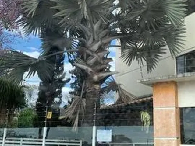 Imagem: Aluga-Se Apartamento Mobiliado